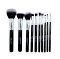 Kit de Brochas x10 Lula