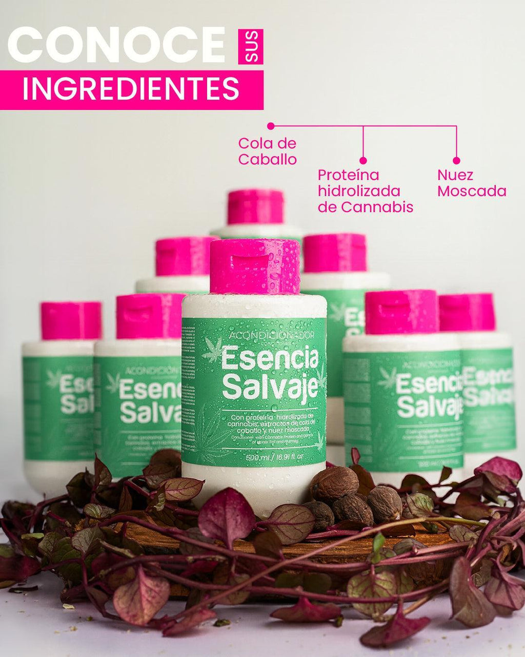Acondicionador Cannabis Cola Caballo Esencia Salvaje – foto 3