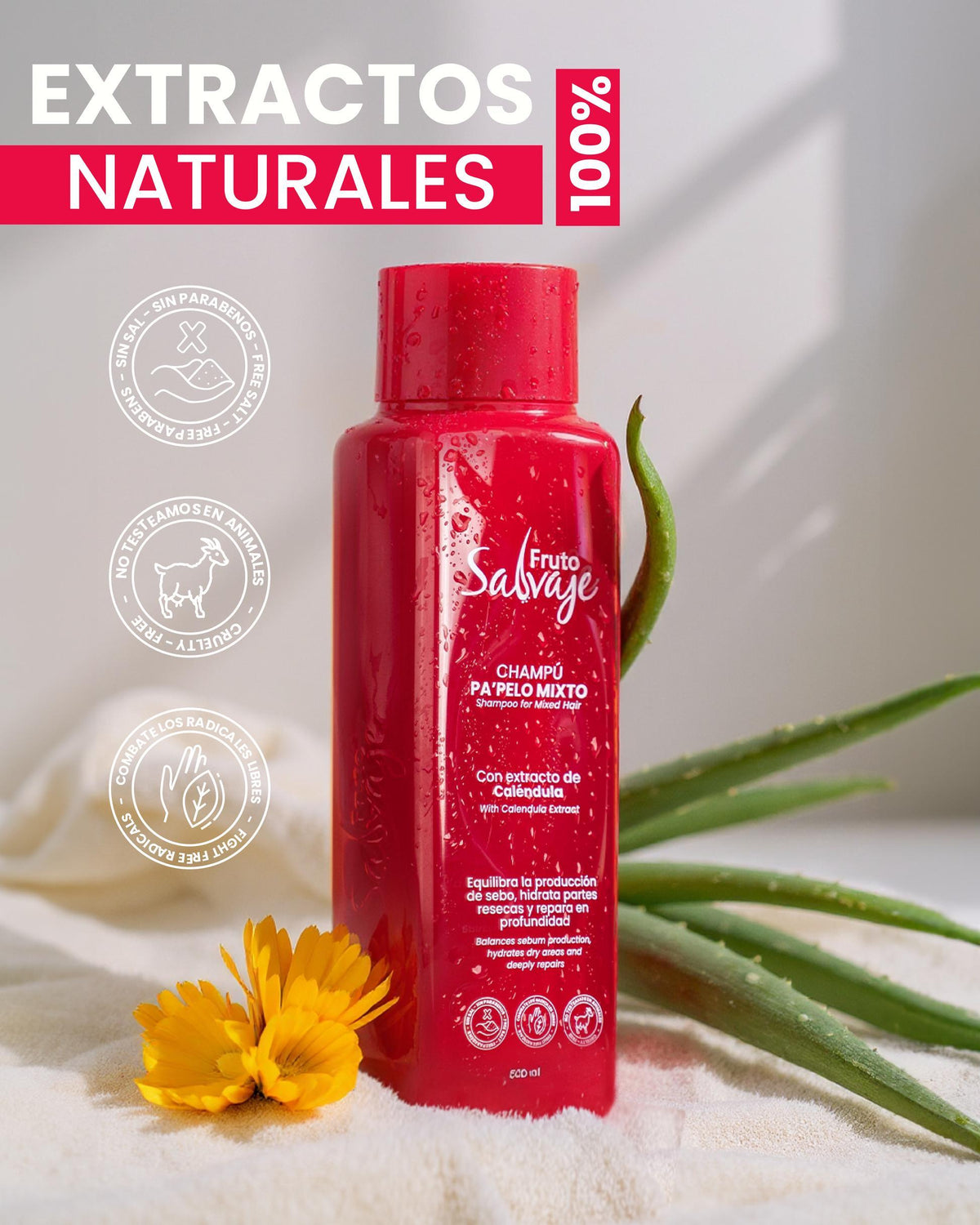 Shampoo Cabello Mixto Camelia Silvestre 500ml Fruto Salvaje – foto 4